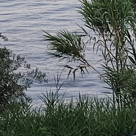 Apartamento Blue And White 2