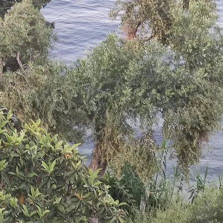 Apartment Blue And White 2